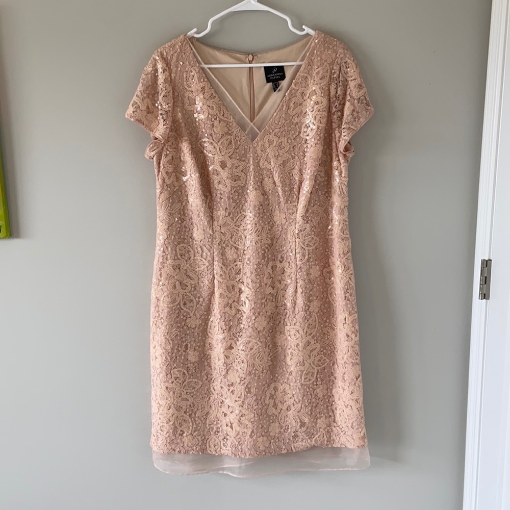 🌸 Adrianna Papell Light Pink Lace Sequin Dress